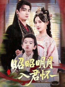 昭昭明月入君怀