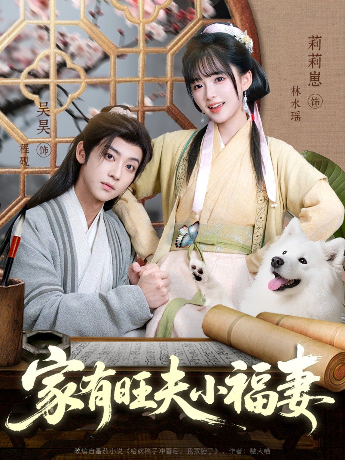 家有旺夫小福妻