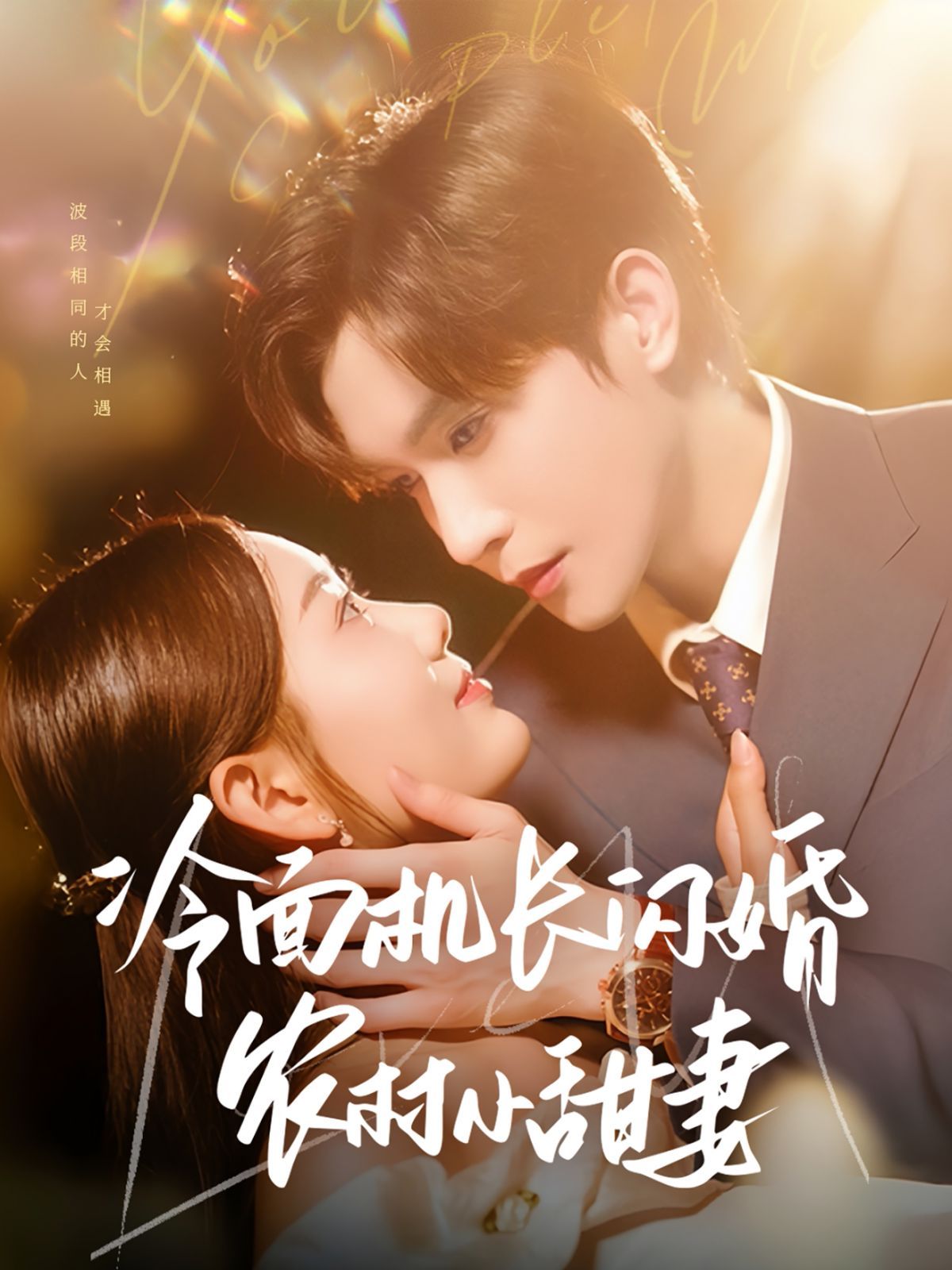冷面机长闪婚农村小甜妻