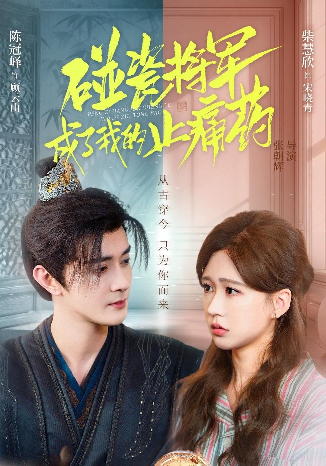 碰瓷将军成了我的止痛药