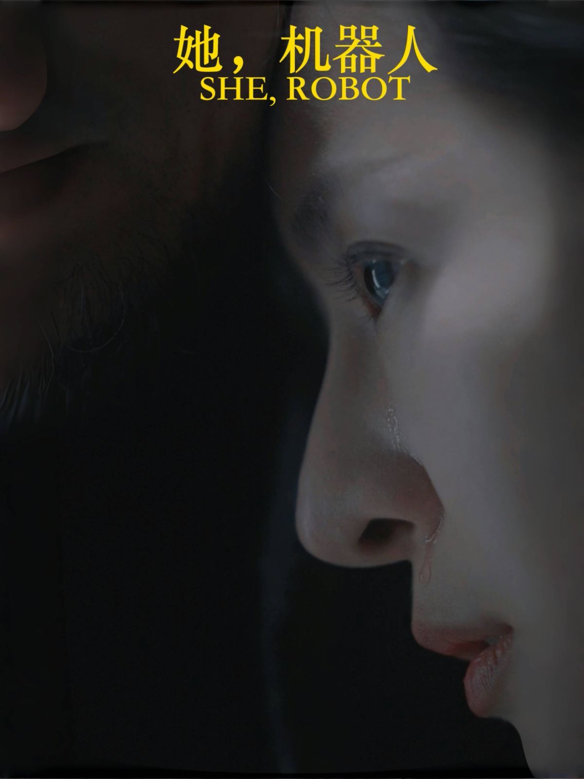 她，机器人（她机器人）