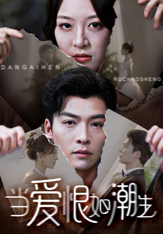当爱恨如潮生