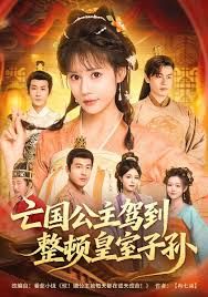 亡国公主驾到，整顿皇室子孙