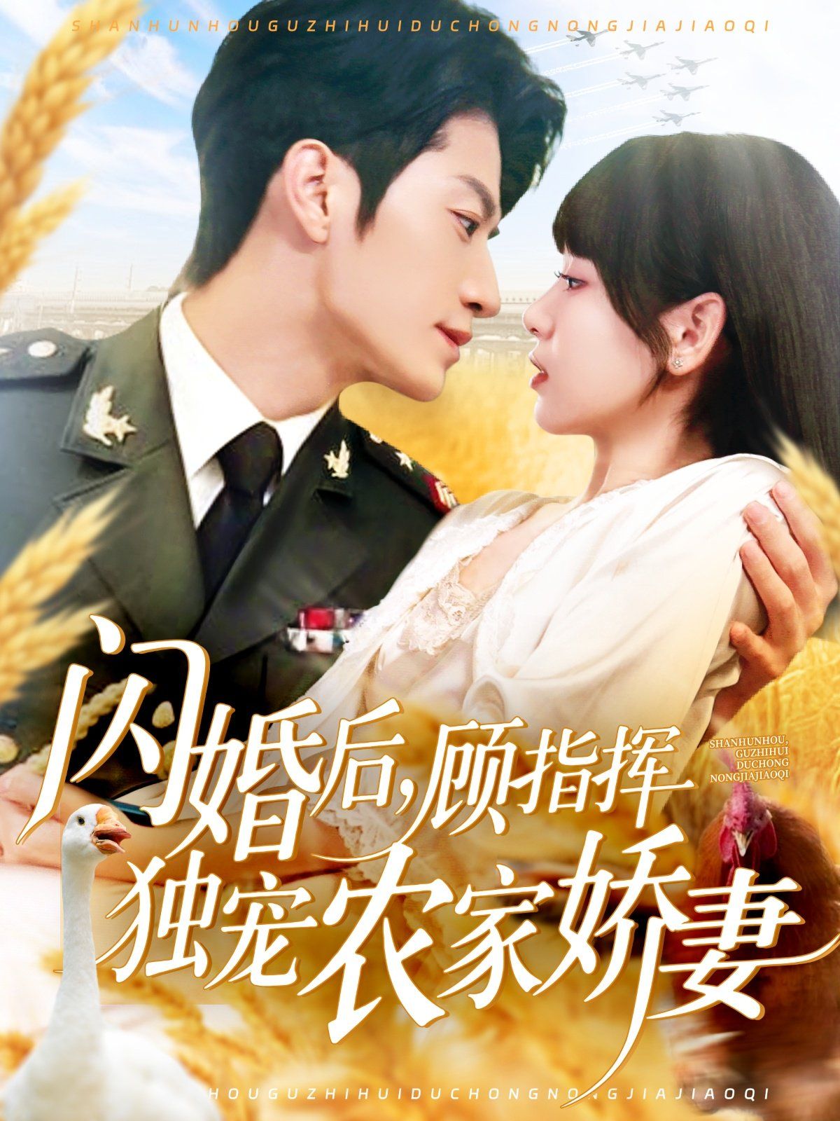 闪婚后顾指挥独宠农家娇妻