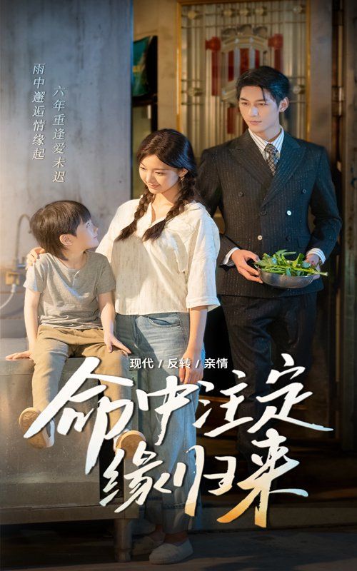 命中注定缘归来